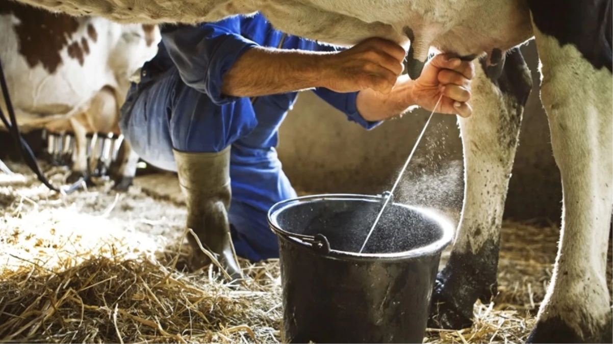 20 yaşındaki genç inekleri sağmak isterken elektrik akımına kapılarak can verdi