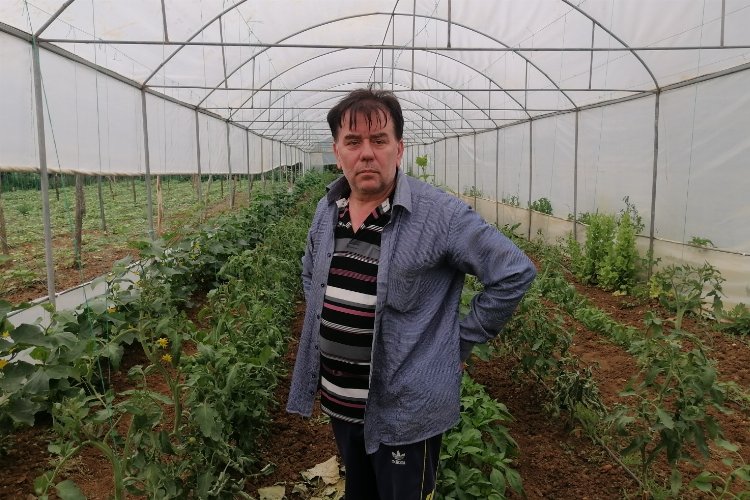 Bilecik Pazaryeri'nde 7 yıldır ürettiği tohumlarla sebze yetiştiriyor
