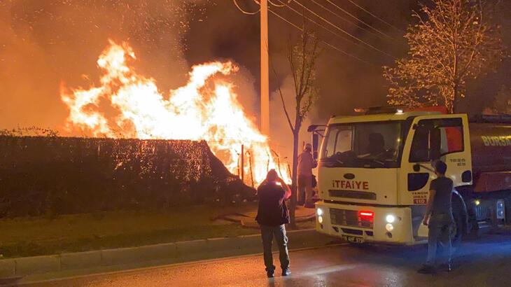 Bursa'da otluk alanda çıkan yangında hurda halindeki 3 araç yandı