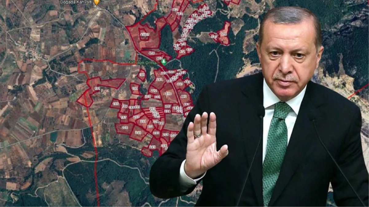 Cumhurbaşkanı Erdoğan, Akbelen'deki arazileri kamulaştırma kararını iptal etti
