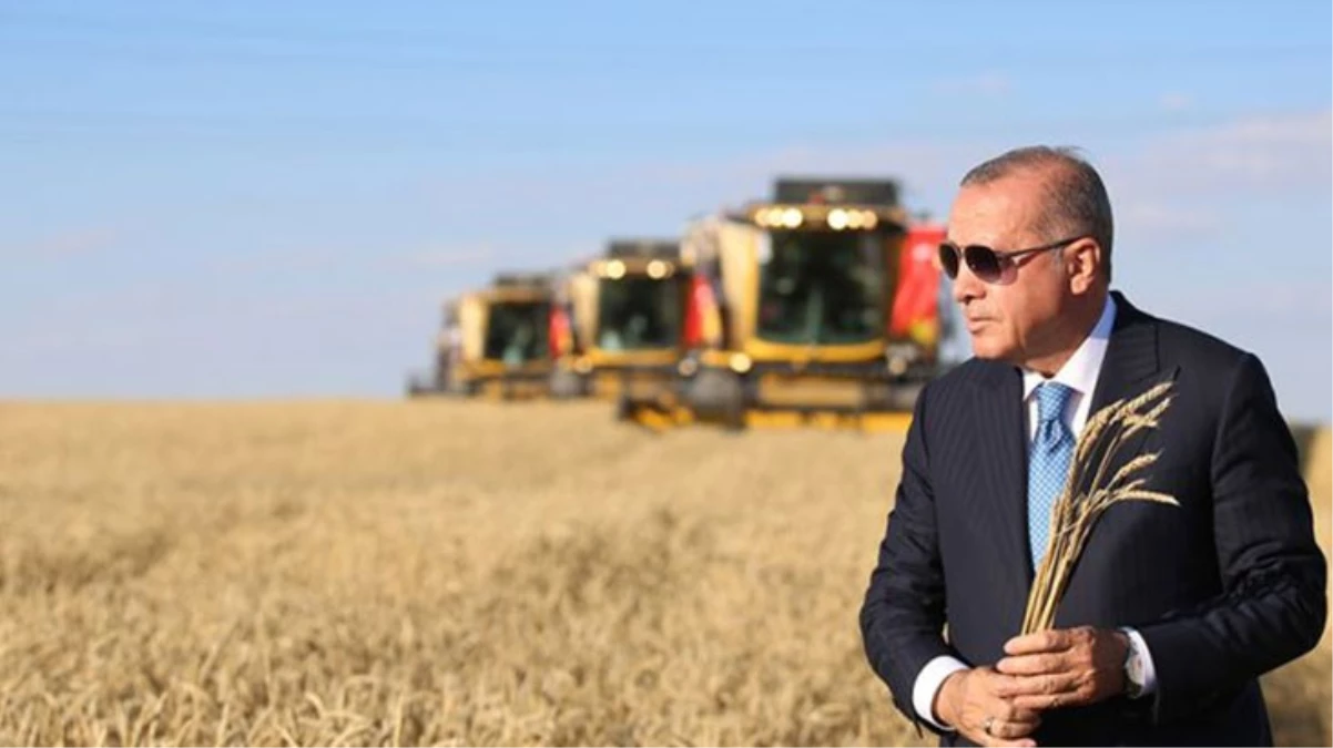 Cumhurbaşkanı Erdoğan, buğday ve arpa alım fiyatlarını açıkladı