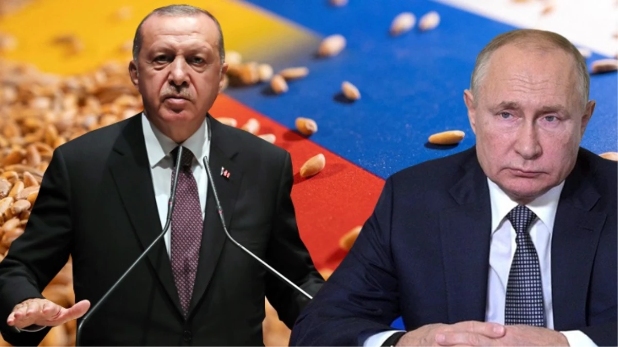 Cumhurbaşkanı Erdoğan, tahıl krizini çözmek için Soçi'ye çıkarma yapacak