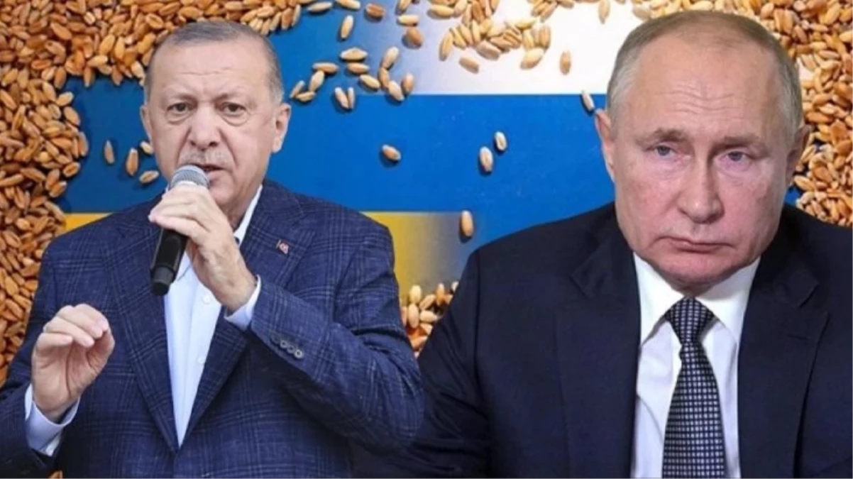 Cumhurbaşkanı Erdoğan: Tahıl meselesinde Rusya'yı dışlayan bir sistemin olması mümkün değildir