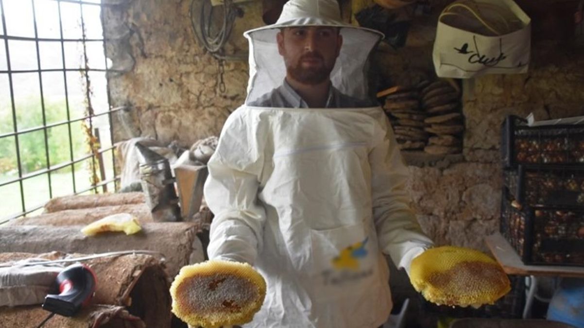 Dünyaca ünlü Bitlis karakovan balının hasadına başlandı! Kilosu bin liradan satılıyor