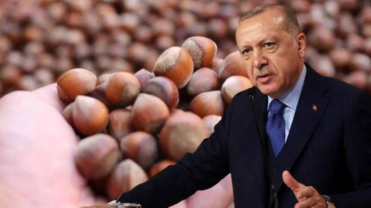 Erdoğan, fındık fiyatını az bulan Kılıçdaroğlu ve Akşener'e ayrı ayrı yanıt verdi: Vatandaşın gönlündeki rakamı açıkladık