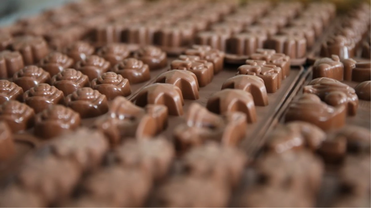 Fildişi Sahilleri ve Gana'da kakao üretimine kısıtlama! Çikolataya zam kapıda