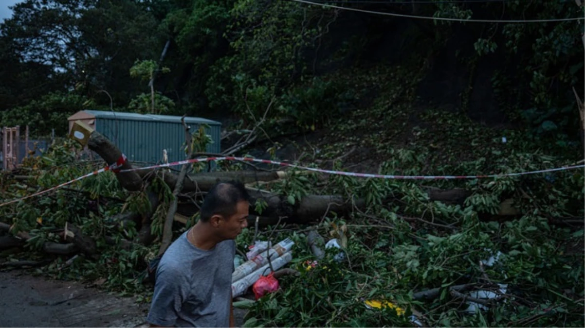Haikui Tayfunu Tayvan'ı vurdu: 116 kişi yaralandı, 260 bin ev elektriksiz kaldı
