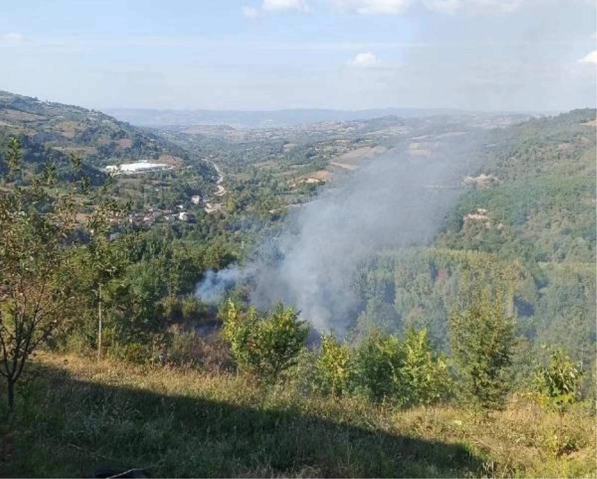 İnegöl'de Bahçe Temizliği Sırasında Yangın: 1 Kişi Hayatını Kaybetti