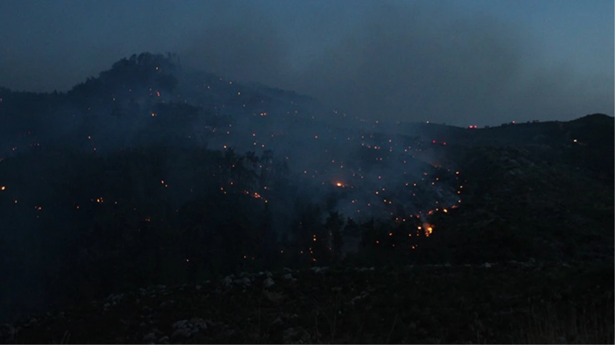 İzmir ve Bolu'daki orman yangınına havadan ve karadan müdahale devam ediyor