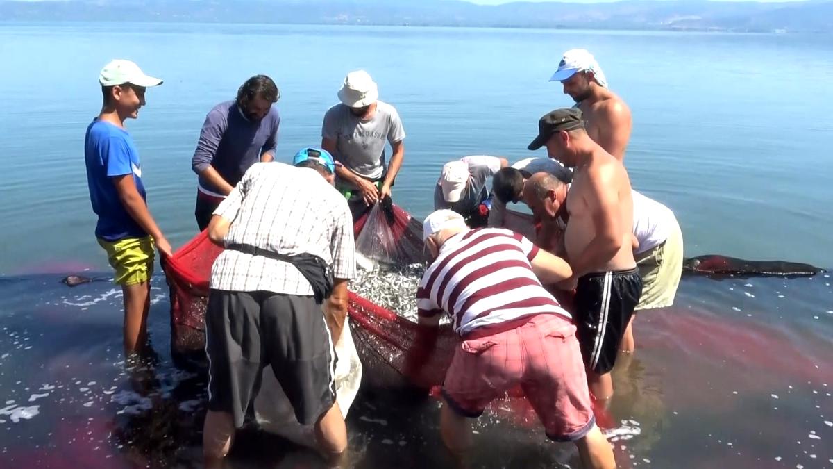 İznik gölünde gümüş balığı popülasyonu balıkçıları tedirgin ediyor