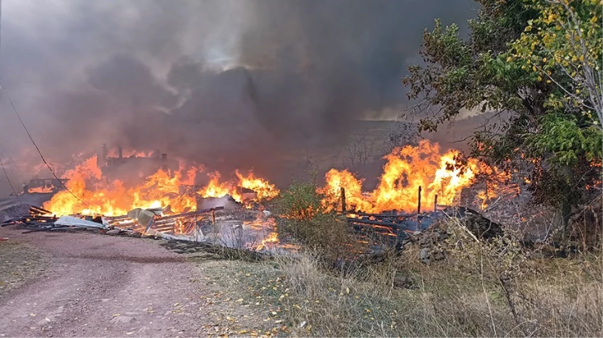 Kastamonu'da bir köyde çıkan yangında 40 ev ve ahır küle döndü