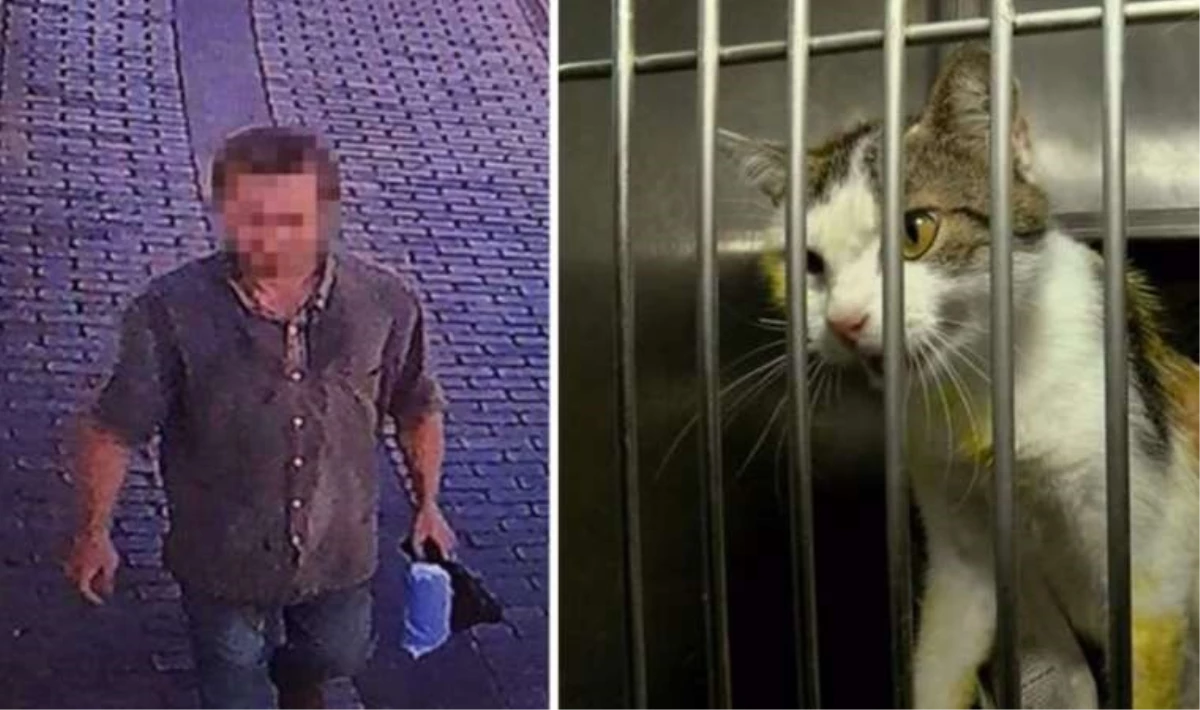 Kedilere kezzap atan Murat Özdemir'in 7 yıla kadar hapsi istendi