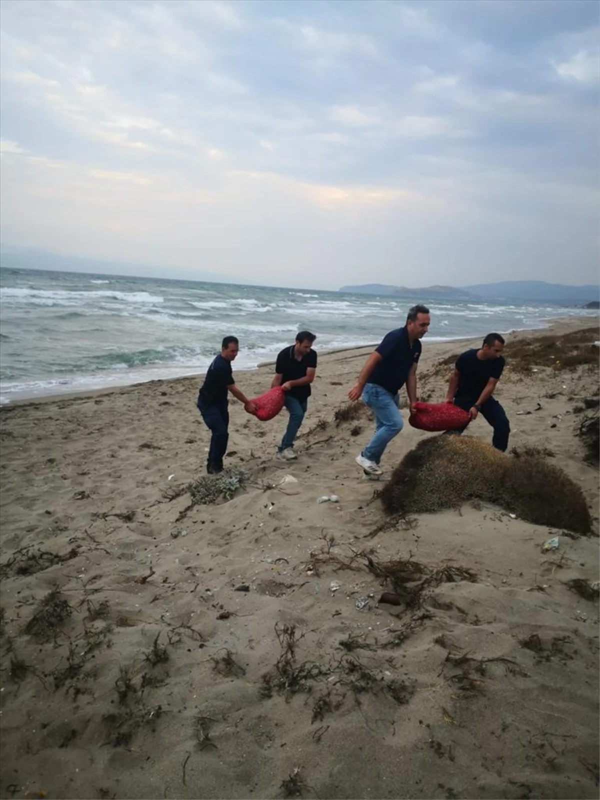 Mudanya'da Yasak Alandan 5,5 Ton Kum Şırlanı Ele Geçirildi