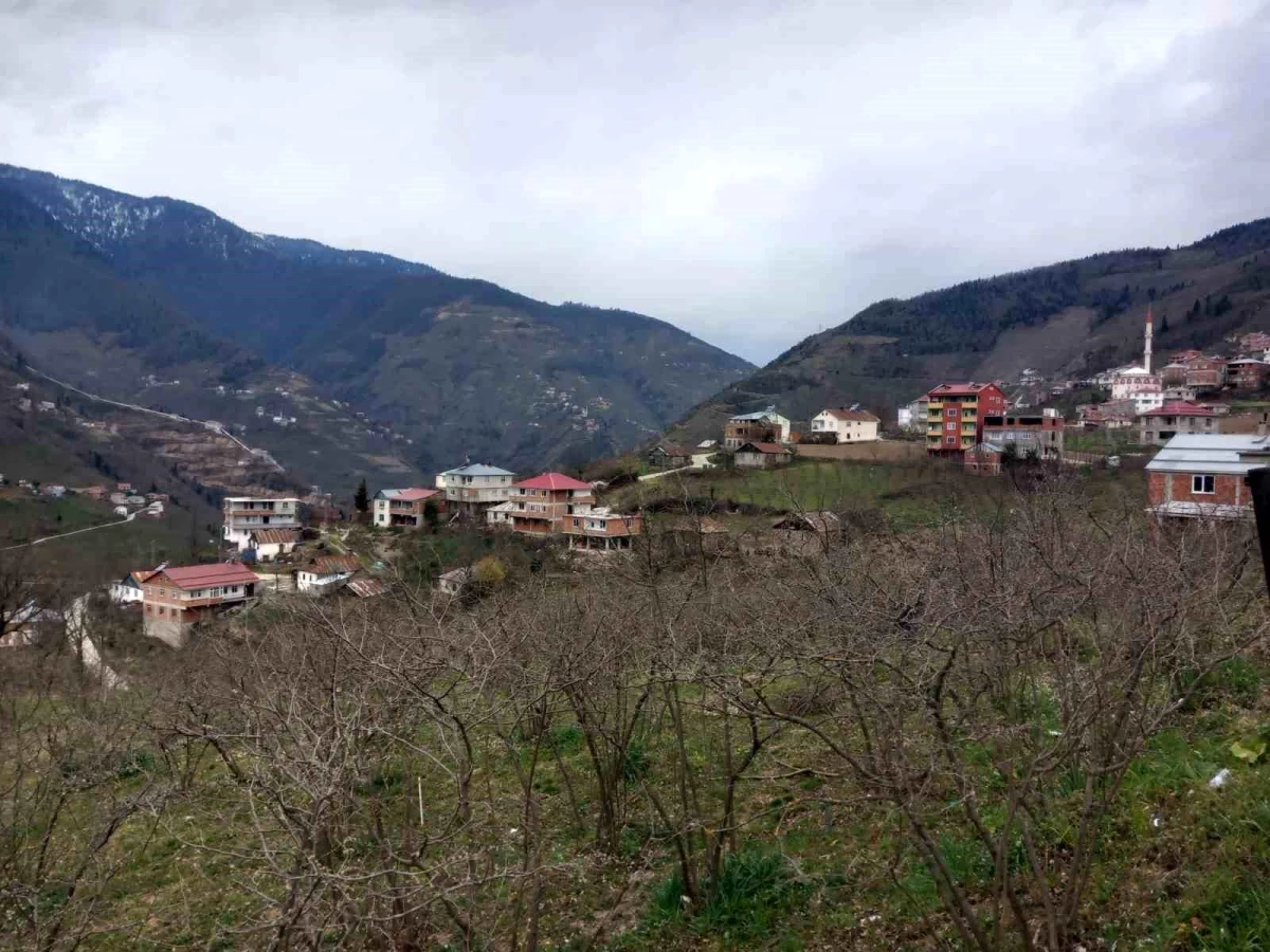 Referandum yapılan köy 34 yıl sonra Gümüşhane'den Giresun'a bağlandı
