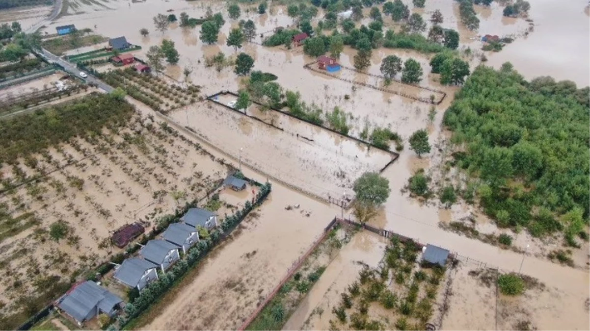 Şile şiddetli yağış sonrası dere taştı, tarım arazileri ve evler sular altında kaldı