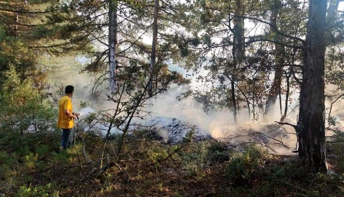 Bursa'da yıldırım orman yangınlarına sebep oldu