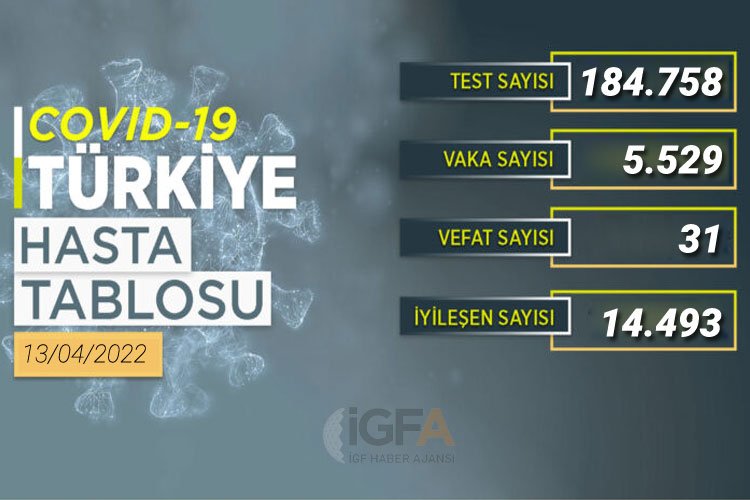 Türkiye'de virüsten 31 can kaybı, 5 bin 529 yeni vaka