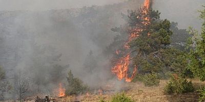 4 ilde orman yangınlarına müdahale