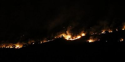 Bulgaristan'daki yangın Edirne'nin sınır köylerine dayandı