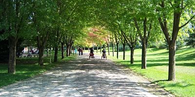 Bursa Botanik Park 15 gün daha kapalı kalacak