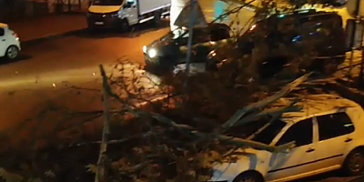 Bursa'da ağaç otomobillerin üzerine devrildi