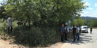 Bursa'da bebek cesedi bulundu