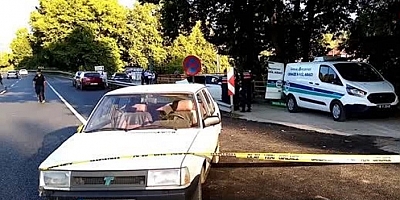Bursa'da kaza yapan otomobil piknik yapan aileye çarptı: 1 ölü, 1 yaralı