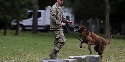 Bursa'da köpeklerin nefes kesen eğitimi