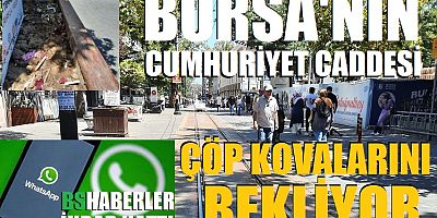 Bursa'nın Cumhuriyet Caddesi çöp kovalarını bekliyor  