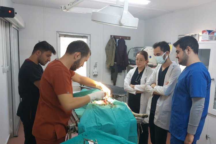 Bursa Osmangazi'de veteriner hekim adaylarına uygulamalı eğitim