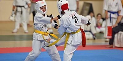 Bursa Yıldırım'da Karate Kupası düzenlendi