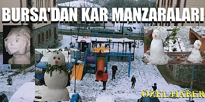 Bursa Yunuseli'den kar manzaraları (Özel Haber)