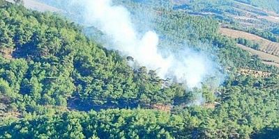 Çanakkale'de orman yangını! Müdahale sürüyor 