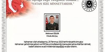Edirne'de askeri araç kaza yaptı: 1 şehit