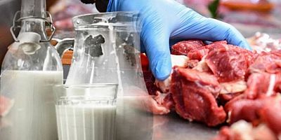 Et ve süt ürünlerinde büyük tehlike