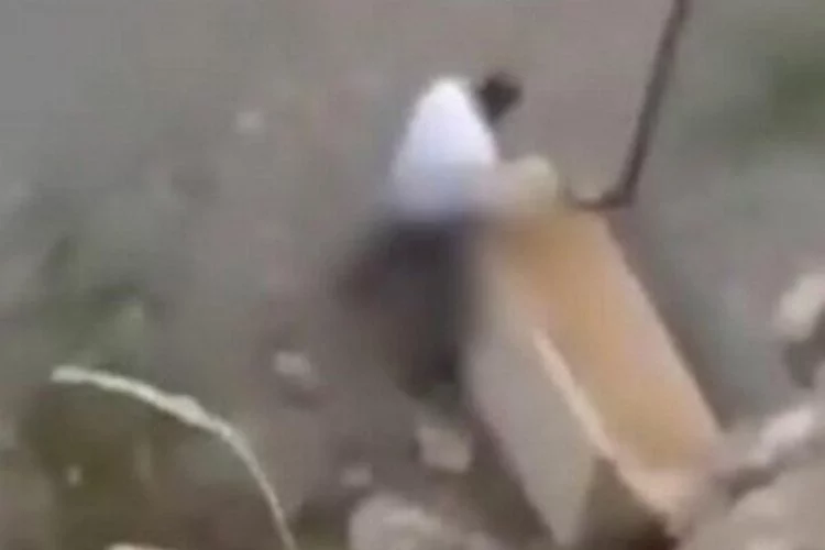 İzmir'de yavru köpeğe istismar!