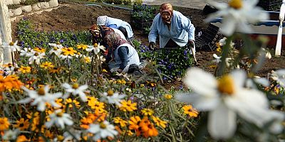 Osmangazi Belediyesi ilçeyi çiçek bahçesine çeviriyor