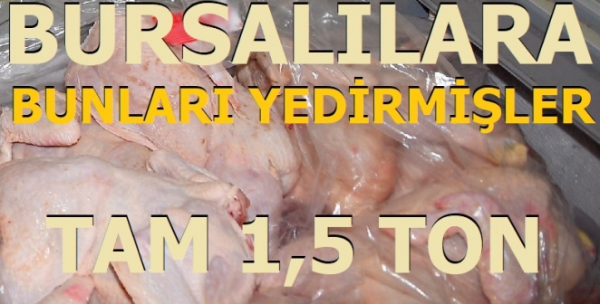 Bursa'da 1,5 ton beyaz et imha edildi