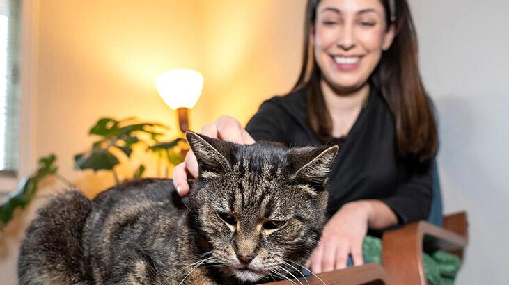 12 yıl önce kaybolan kedi evine döndü