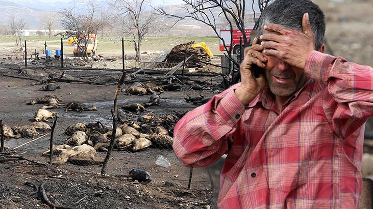 150 küçükbaş hayvanı yanarak öldü! Sahibi gözyaşlarına boğuldu