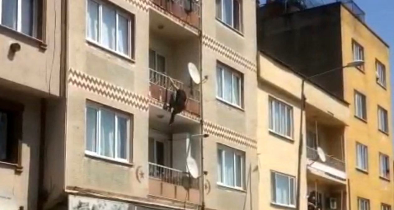 2.kattan böyle atladı