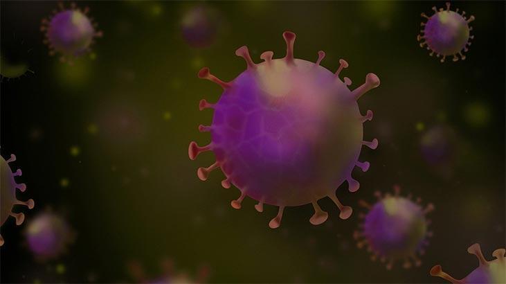 3 yaşındaki çocukta Omicron mutasyonu tespit edildi