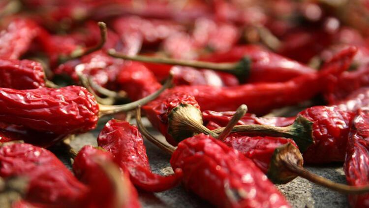 Acı tüketmek, çikolata yemek kadar mutlu eder mi?