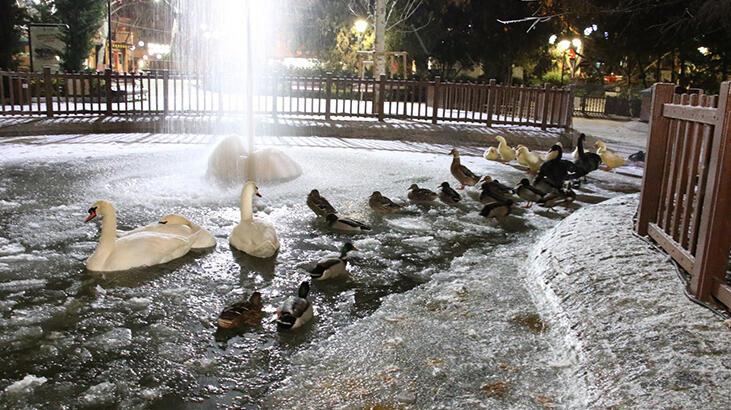 Ankara'da hava sıcaklığı eksi 5 dereceye düştü! Kuğulu Park buz tuttu