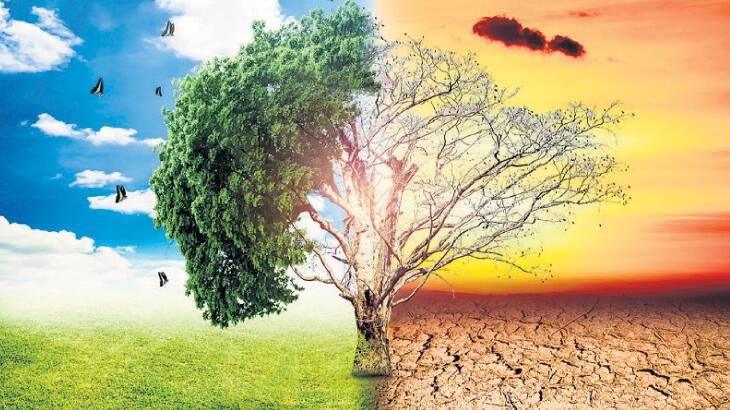 Anlaşmaya şerh yok, beyan var