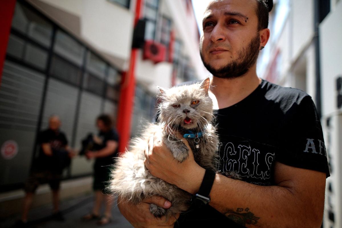 Anne ve 3 yavru kedi yangından böyle kurtarıldı