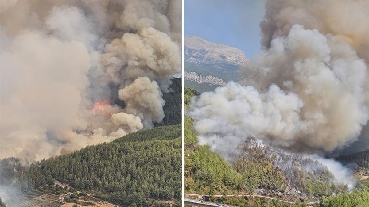 Antalya'da orman yangını! Alevler rüzgarın etkisiyle büyüdü, ekipler müdahale ediyor