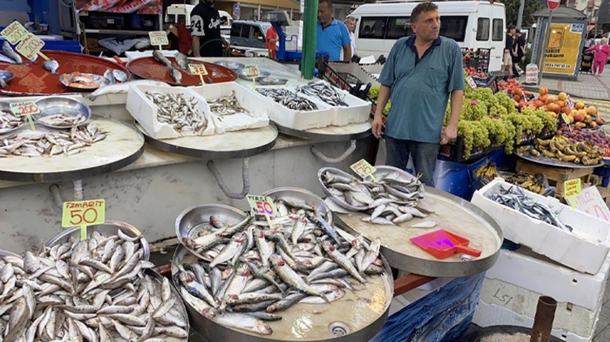 Av yasağı bitti, tezgahlar balıkla doldu! İstavrit ve hamsinin kilosu 100 lira, barbun ve zargana ise 200 liradan satılıyor