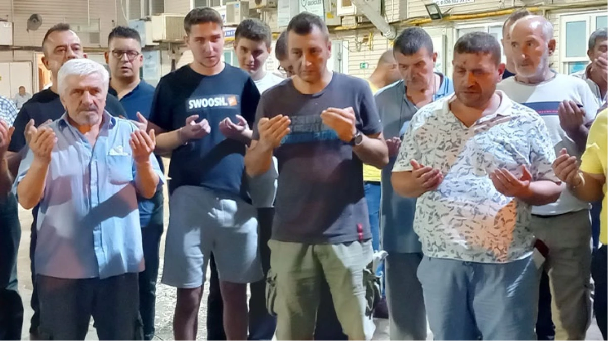 Av yasağının bitmesiyle balıkçılar ağ attı! Hamsinin kasası 2.250 TL'den satıldı