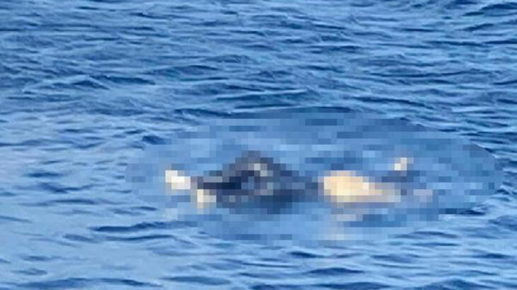 Avşa Adası açıklarında ceset şoku!